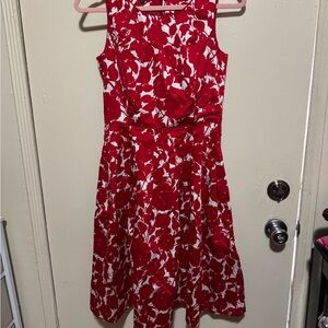 Talbots Vibrant Red and White Dress